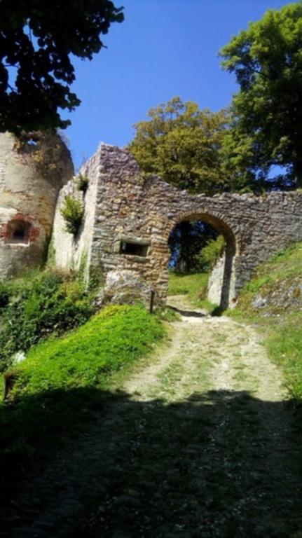 Le Roi Du Sundgau Pres De La Horse - Mooslargue Apart otel Dış mekan fotoğraf